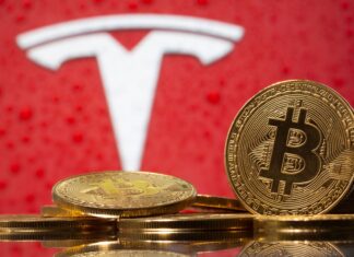 Bitcoin and Elon Musk… Love Affair turned Fatal Attraction? Bitcoin, Tesla, Cryptocurrency, Elon Musk