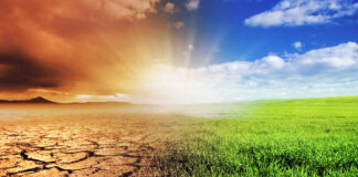 The “Super” Plant That Could Save The World From Man-Made CO2 What You Don't Know About The International Panel On Climate Change