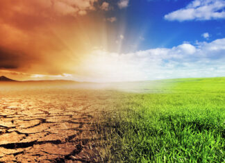 The “Super” Plant That Could Save The World From Man-Made CO2 What You Don't Know About The International Panel On Climate Change