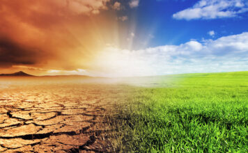 The “Super” Plant That Could Save The World From Man-Made CO2 What You Don't Know About The International Panel On Climate Change