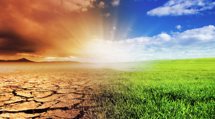 The “Super” Plant That Could Save The World From Man-Made CO2 What You Don't Know About The International Panel On Climate Change