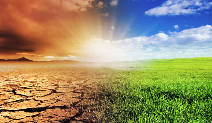 The “Super” Plant That Could Save The World From Man-Made CO2 What You Don't Know About The International Panel On Climate Change