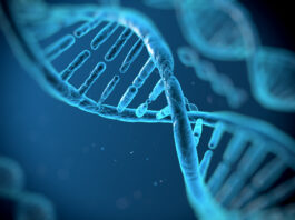 Recent DNA Research Suggests Common Ancestry Among Arabs and Jews