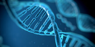 DNA Research Suggests Common Ancestry Among Arabs and Jews Recent DNA Research Suggests Common Ancestry Among Arabs and Jews