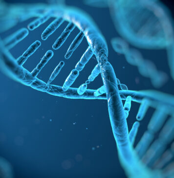 DNA Research Suggests Common Ancestry Among Arabs and Jews Recent DNA Research Suggests Common Ancestry Among Arabs and Jews