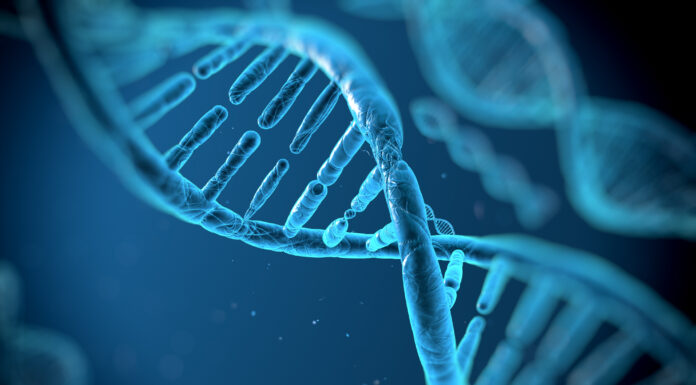 DNA Research Suggests Common Ancestry Among Arabs and Jews Recent DNA Research Suggests Common Ancestry Among Arabs and Jews