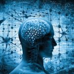 Contrasting Perspectives: Implications for Education and Creative Minds America educates students like we train rodents