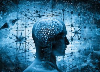 Contrasting Perspectives: Implications for Education and Creative Minds Psychology and Decline of American Education