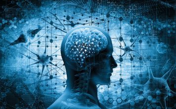 Contrasting Perspectives: Implications for Education and Creative Minds Psychology and Decline of American Education