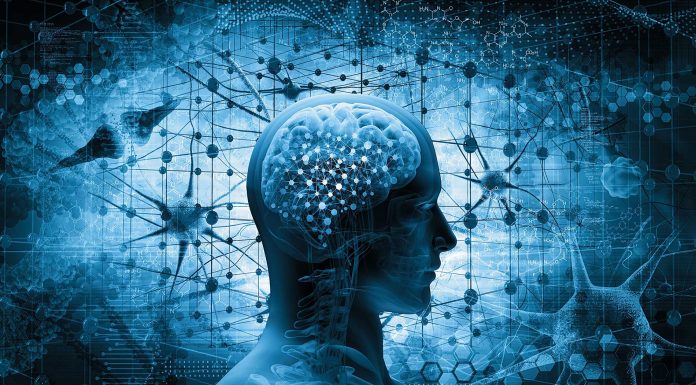 Contrasting Perspectives: Implications for Education and Creative Minds Psychology and Decline of American Education