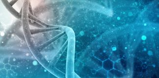 Life Extension: Bombshell Research – Can We Live Forever? Life Extension: Bombshell Research - Can We Live Forever? - MAIN FEATURED Image