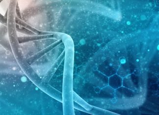 Life Extension: Bombshell Research – Can We Live Forever? Life Extension: Bombshell Research - Can We Live Forever?