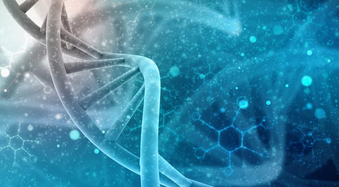 Life Extension: Bombshell Research – Can We Live Forever? Life Extension: Bombshell Research - Can We Live Forever?