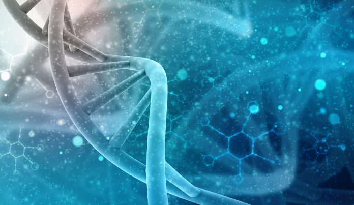 Life Extension: Bombshell Research – Can We Live Forever? Life Extension: Bombshell Research - Can We Live Forever?