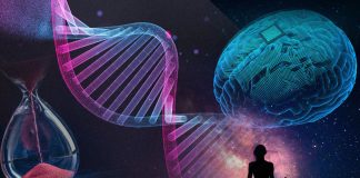 Vitamin D: The Trillion Dollar Cure Hidden in Plain Sight Vitamin D: The Trillion Dollar Cure Hidden in Plain Sight