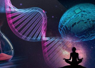 Vitamin D: The Trillion Dollar Cure Hidden in Plain Sight Vitamin D: The Trillion Dollar Cure Hidden in Plain Sight